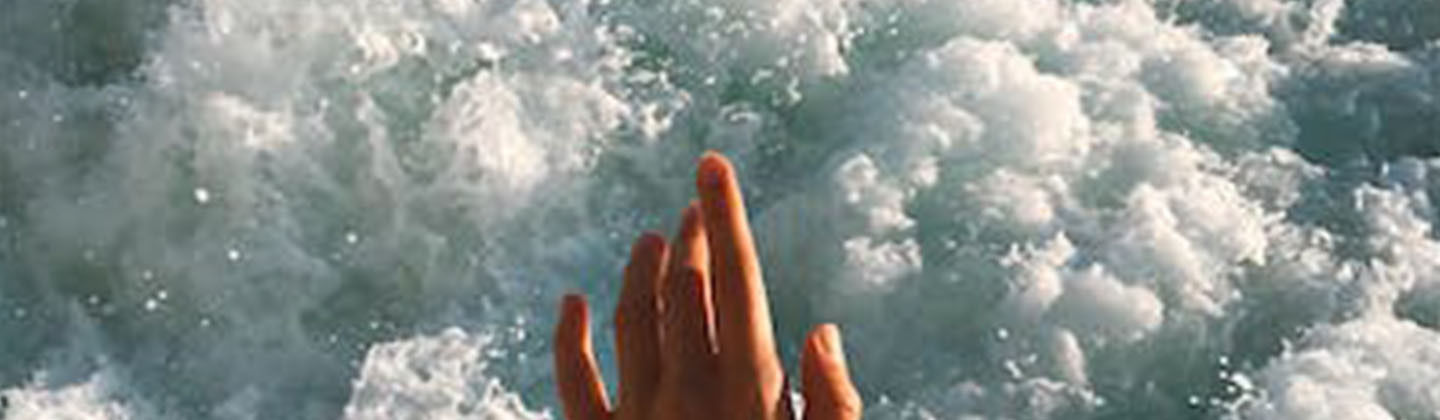 header photo