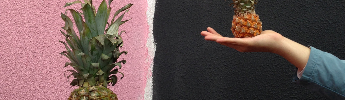 header photo