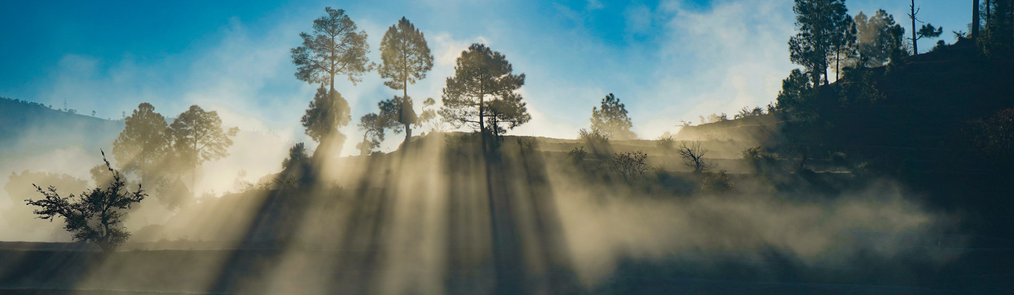 header photo